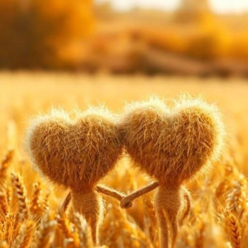 528233224_738409088820915_9149852793853792366_n