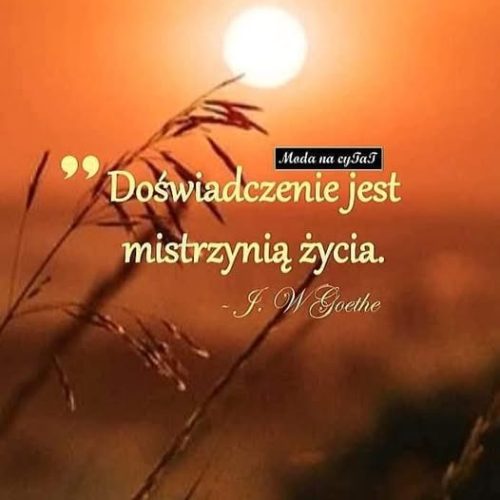 535554007_751516427510181_8006722120359501697_n (1)